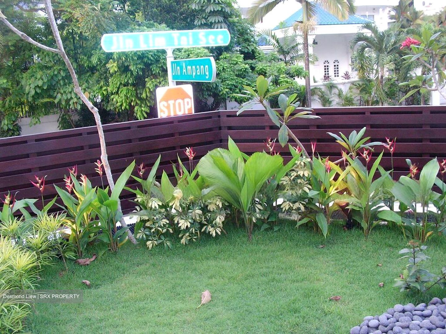 Shamrock Park (D10), Semi-Detached #467677721